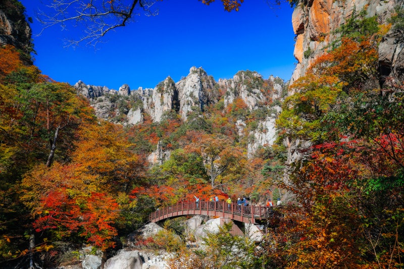 31c7dbde62d8608bb253da105bba6abe_1761176230_897.jpg