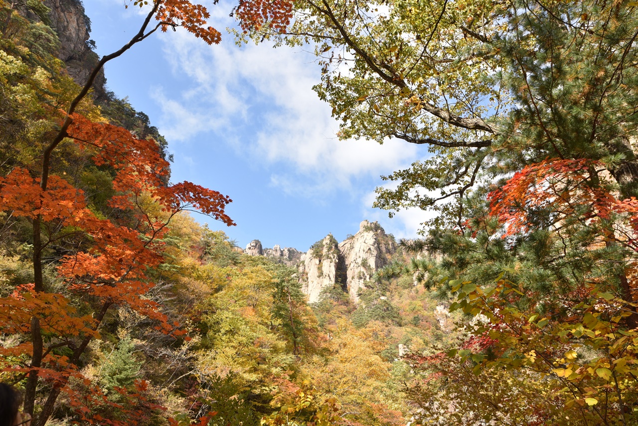 31c7dbde62d8608bb253da105bba6abe_1761176231_5187.jpg