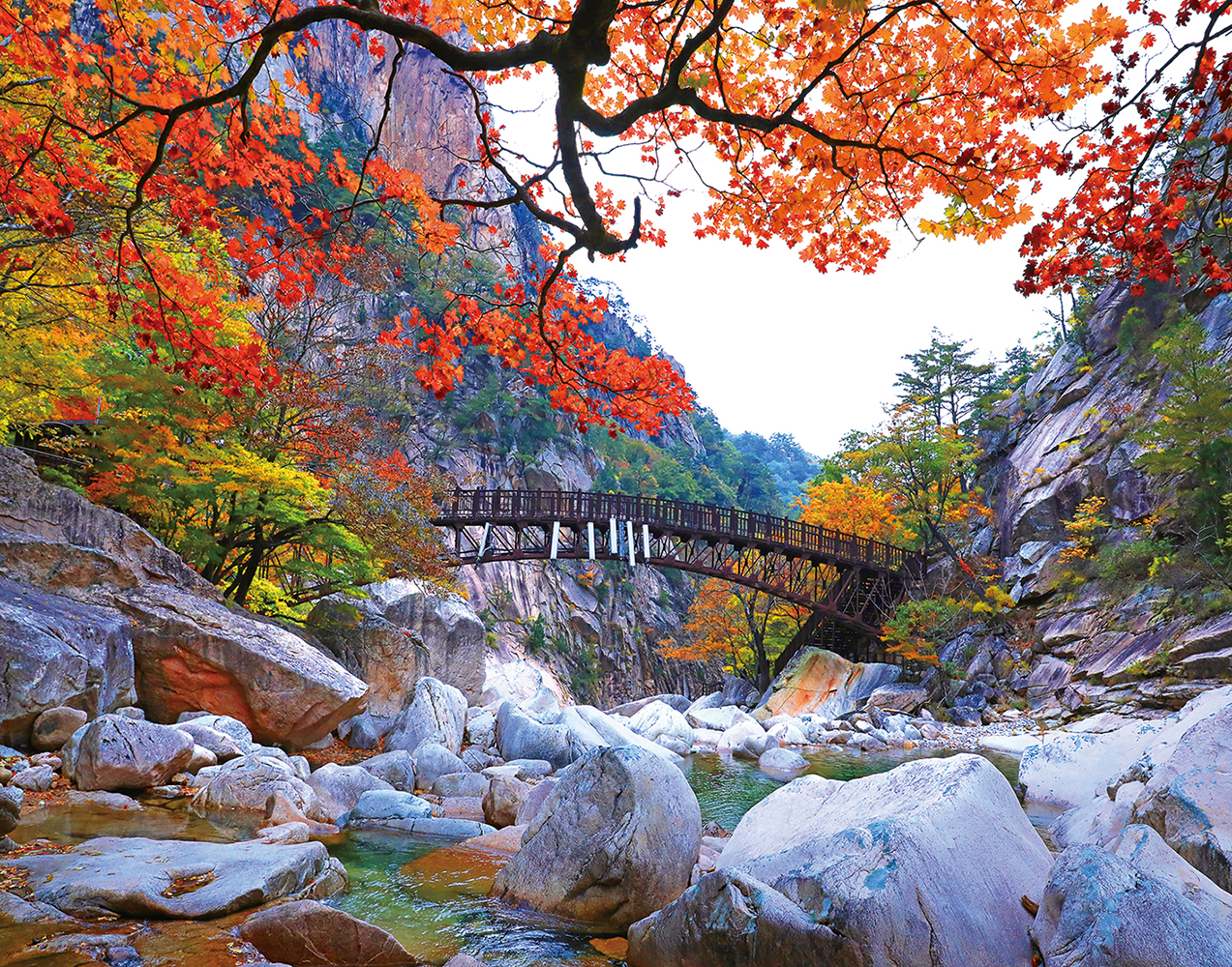 31c7dbde62d8608bb253da105bba6abe_1761176232_5895.jpg