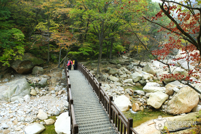 31c7dbde62d8608bb253da105bba6abe_1761176254_4143.jpg