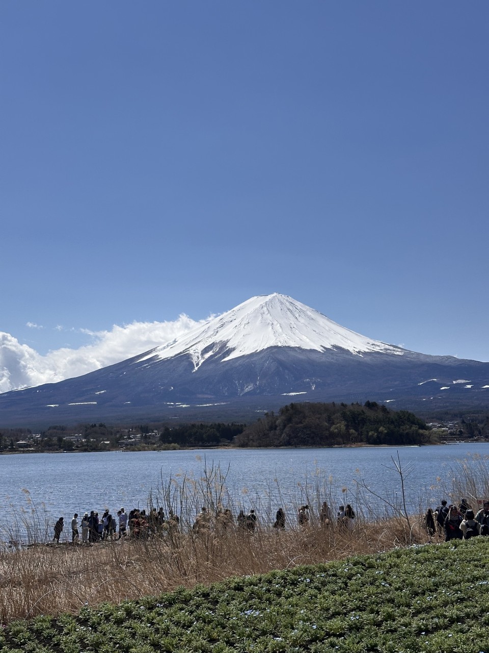 83900ce65c9f815fe670fceb463e25f6_1766449011_5692.jpg 83900ce65c9f815fe670fceb463e25f6_1766449011_5692.jpg