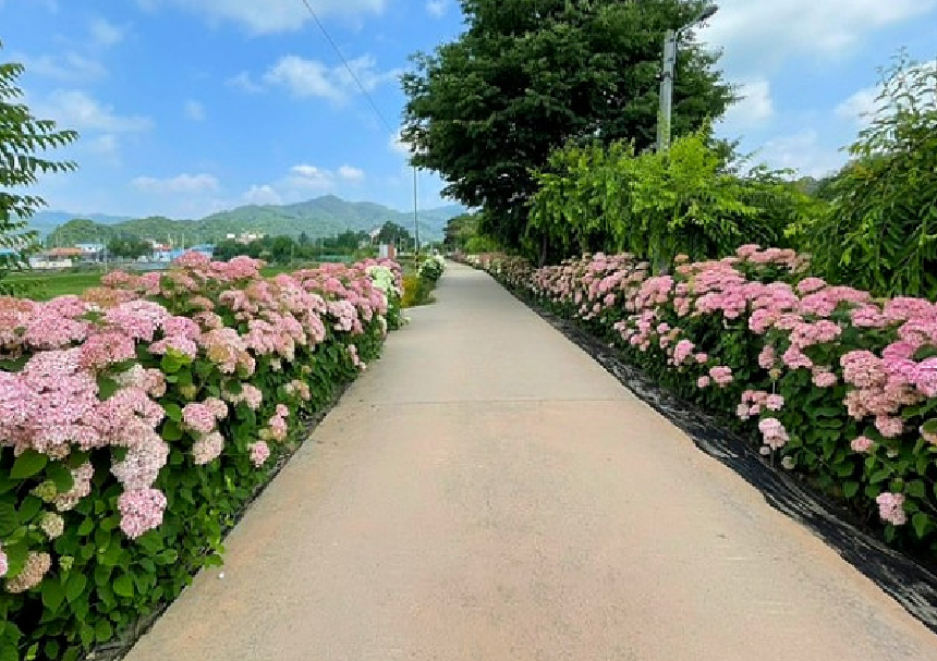 3d4157f4074cf1f7b7765da4bd80146d_1778824170_0284.png