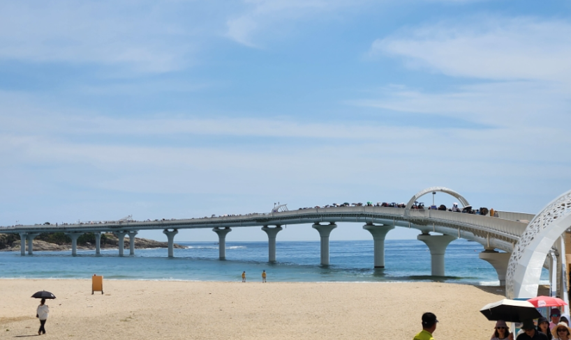 d833048f87413f89a95a701feb2eb610_1785120555_3563.png
