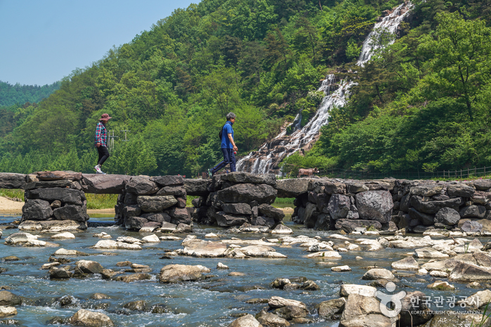 와우부산여행사 [부산출발]  화담숲단풍+진천농다리 당일 테마여행 버스투어