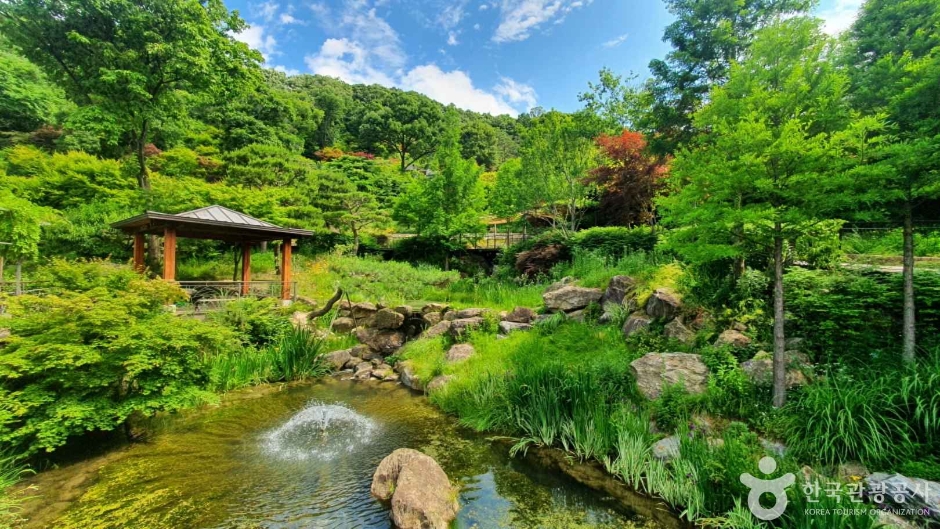 와우부산여행사 [부산출발]  화담숲단풍+진천농다리 당일 테마여행 버스투어