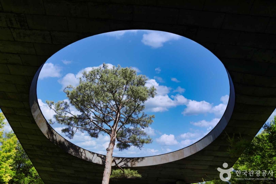 와우부산여행사 [부산출발]  화담숲단풍+진천농다리 당일 테마여행 버스투어