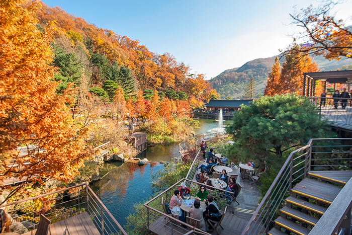 와우부산여행사 [부산출발]  화담숲단풍+진천농다리 당일 테마여행 버스투어