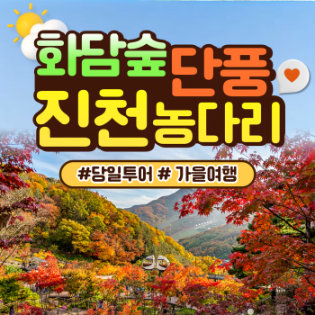 와우부산여행사 [부산출발]  화담숲단풍+진천농다리 당일 테마여행 버스투어
