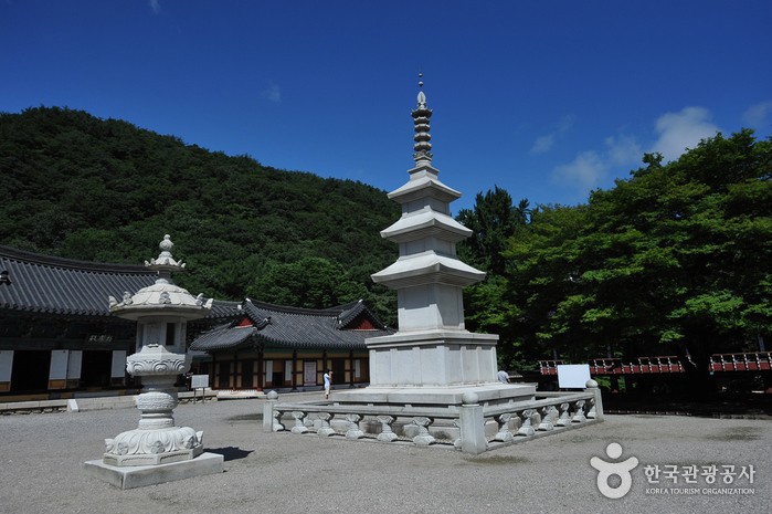 와우부산여행사 [부산출발] 정읍 내장산+내장사 단풍투어  당일 테마여행  버스투어