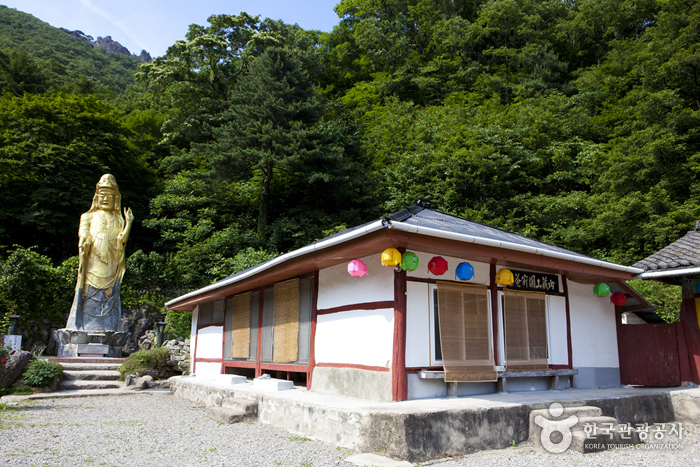 와우부산여행사 [부산출발] 정읍 내장산+내장사 단풍투어  당일 테마여행  버스투어