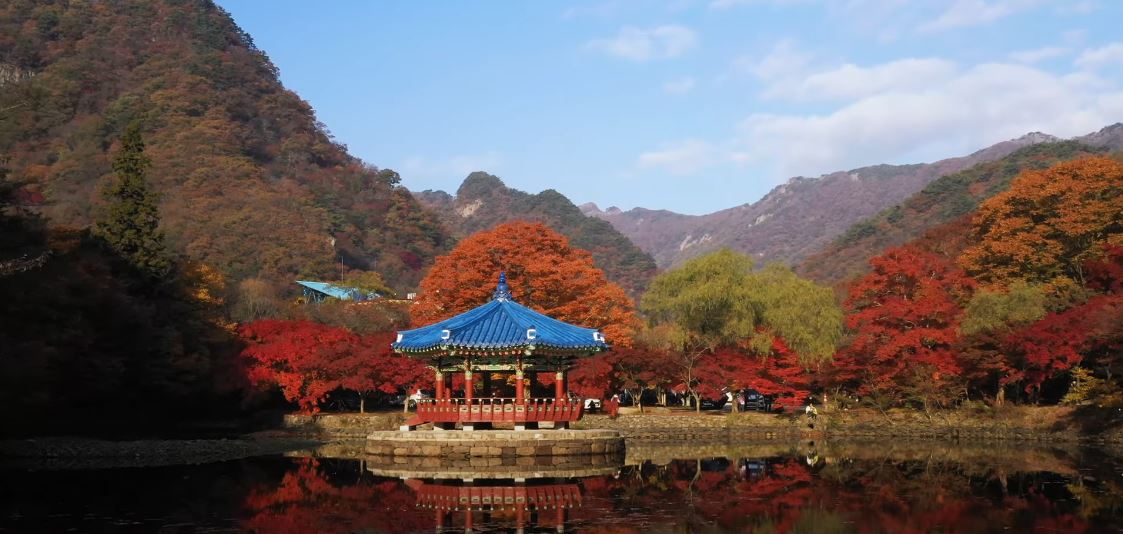 와우부산여행사 [부산출발] 정읍 내장산+내장사 단풍투어  당일 테마여행  버스투어