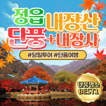 와우부산여행사 [부산출발] 정읍 내장산+내장사 단풍투어  당일 테마여행  버스투어