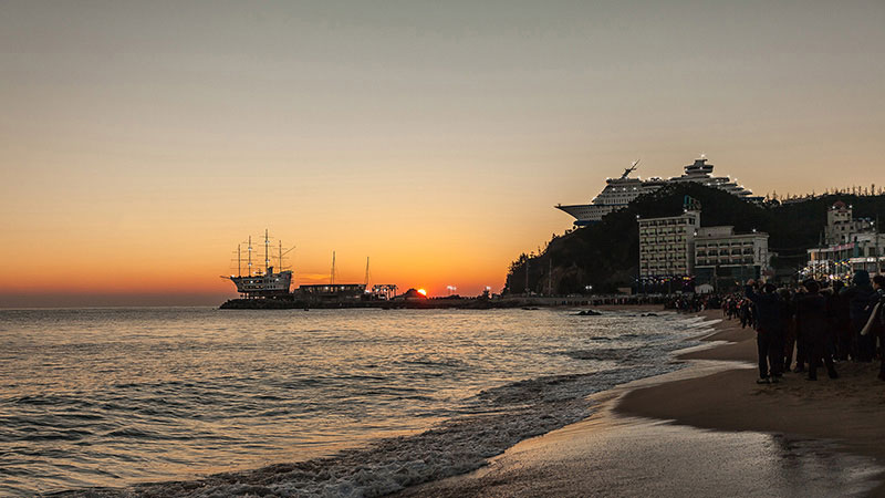 와우부산여행사  [부산출발]  정동진+대관령 양떼목장 설경투어 당일