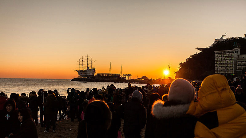 와우부산여행사  [부산출발]  정동진+대관령 양떼목장 설경투어 당일