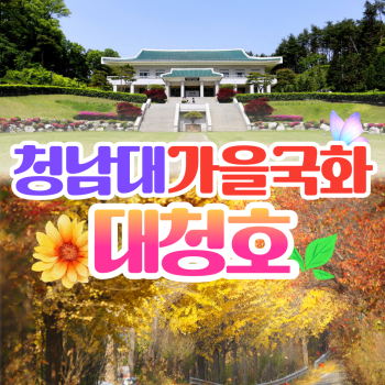 청남대 가을 국화 대청호 당일여행