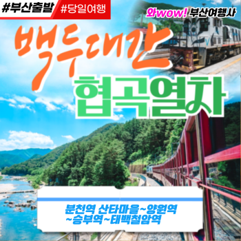 와우부산여행사  [부산출발]  백두대간 협곡열차투어 당일