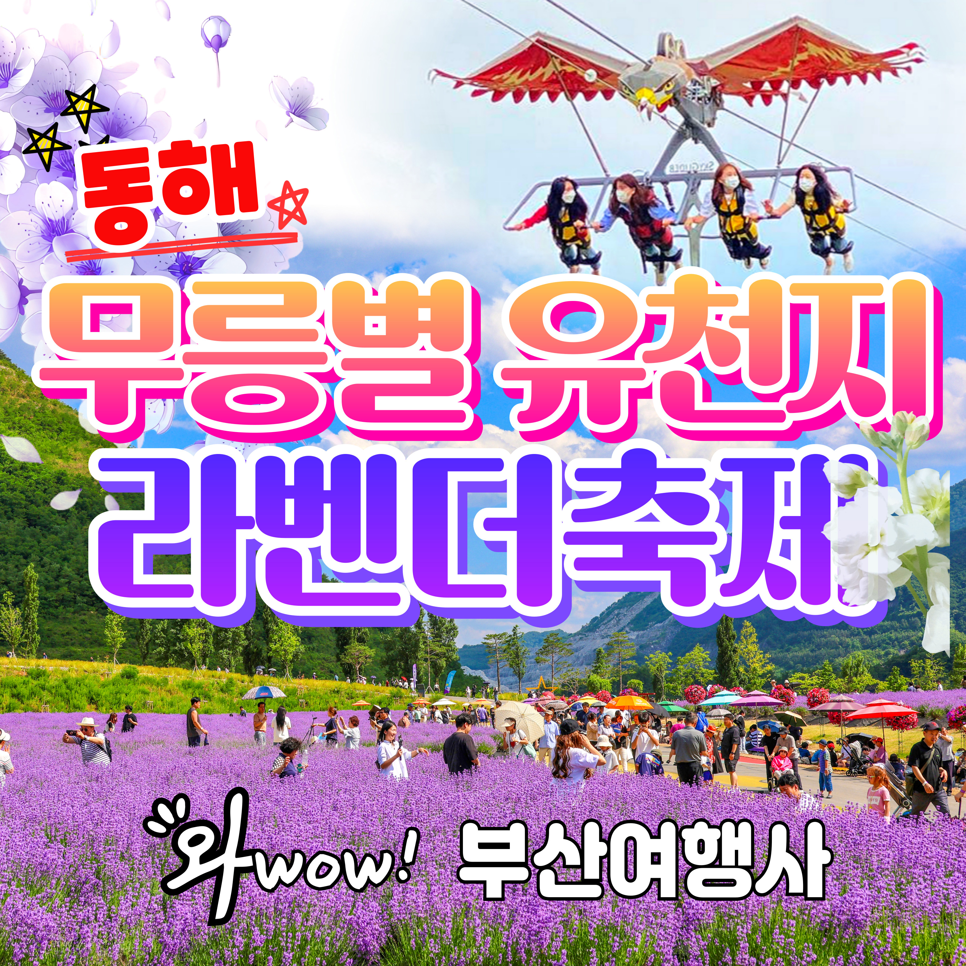 무릉별 유천지 라벤더 축제