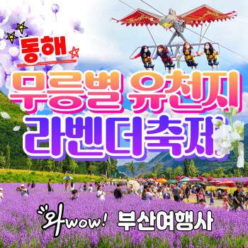 무릉별 유천지 라벤더 축제