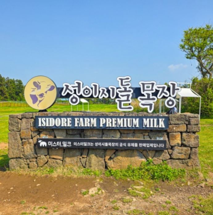 여름맞이 제주 2박 3일, 3박 4일 이색테마 노옵션 특가!!!