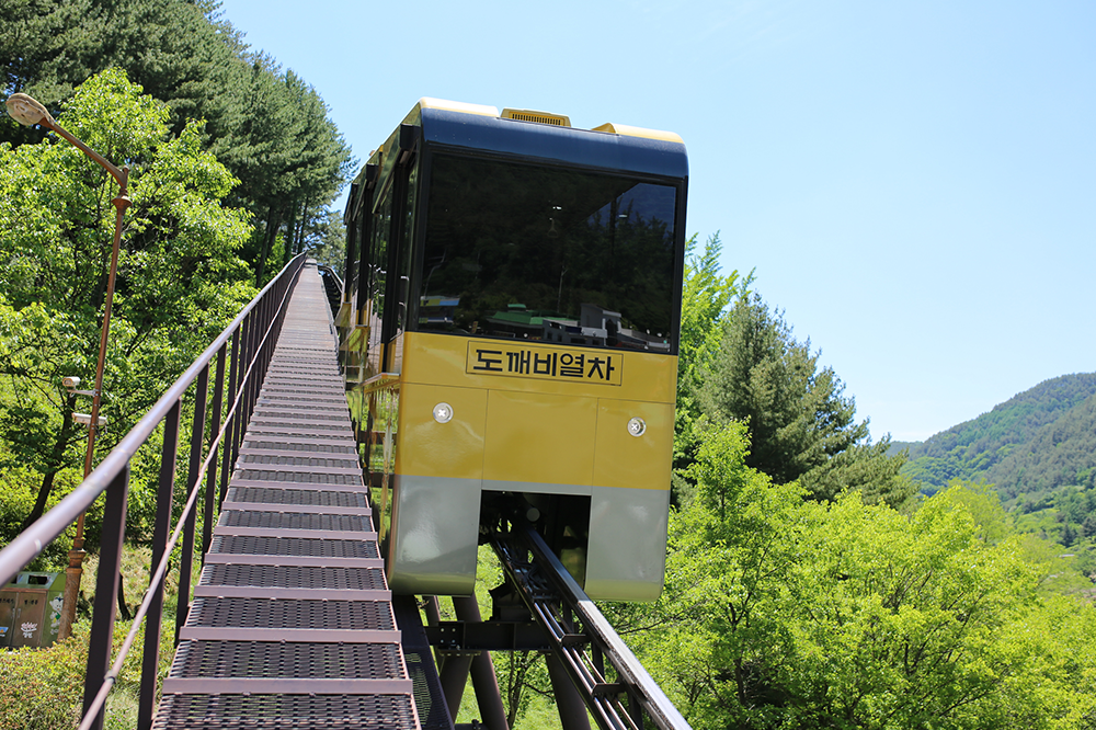 [부산출발] 여름특집  버스투어 여행 정동진, 동해, 태백 1박 2일