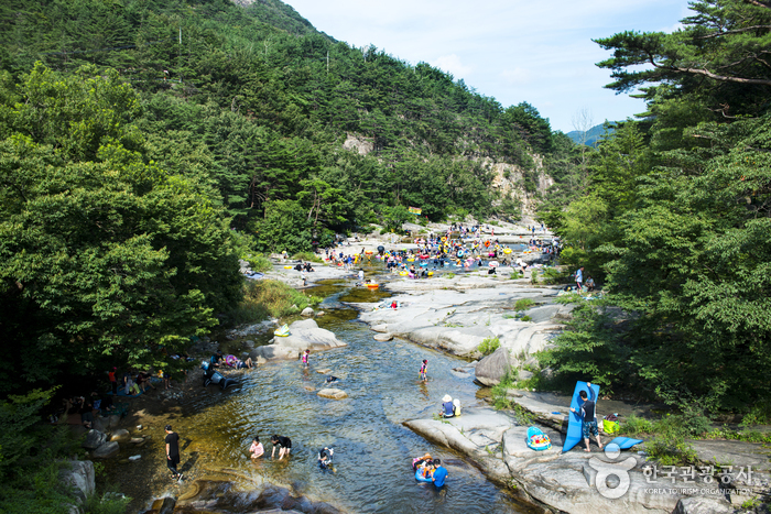 [부산출발] 여름특집  버스투어 여행 정동진, 동해, 태백 1박 2일