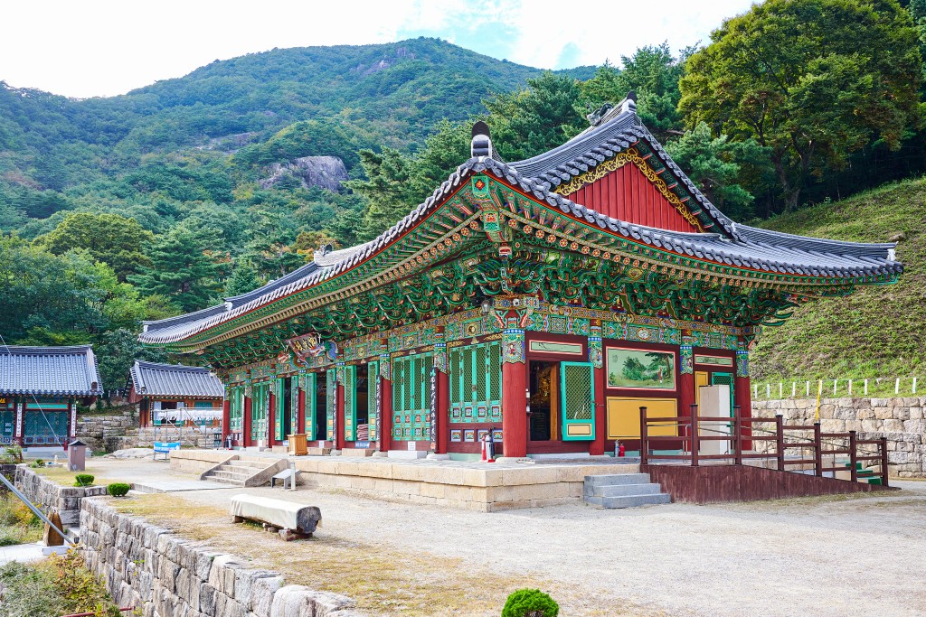 [부산출발] 여름특집  버스투어 여행 정동진, 동해, 태백 1박 2일