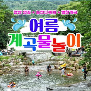 [부산출발] 함안 연꽃 + 능전수목원 + 별천계곡 여름 계곡물놀이 당일버스여행