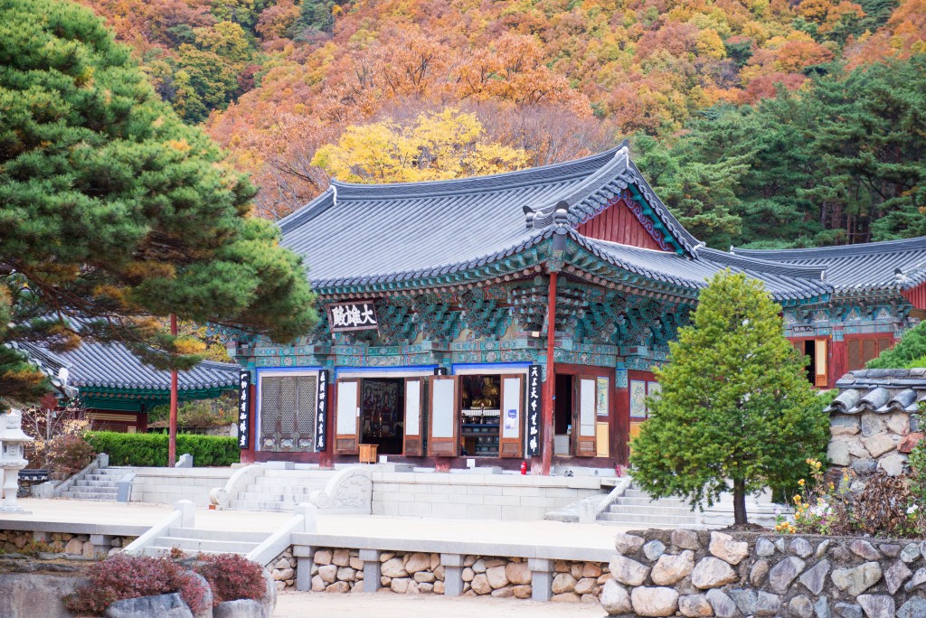 [부산출발] 8월 23일 단 하루 출발! 당일기차 낭만여행