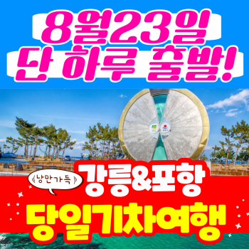 [부산출발] 8월 23일 단 하루 출발! 당일기차 낭만여행