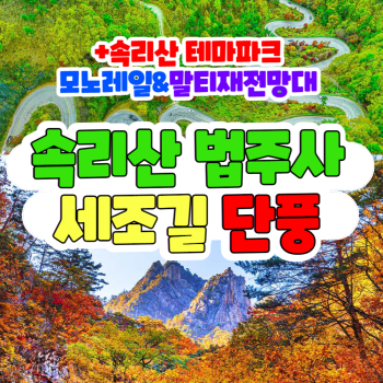 부산출발  속리산 법주사 세조길 단풍 + 테마파크 모노레일 말티재 전망대 당일 버스여행