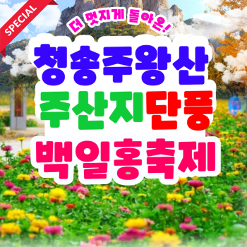 부산출발   청송 주왕산 주산지 단풍 + 백일홍 축제 당일  버스여행