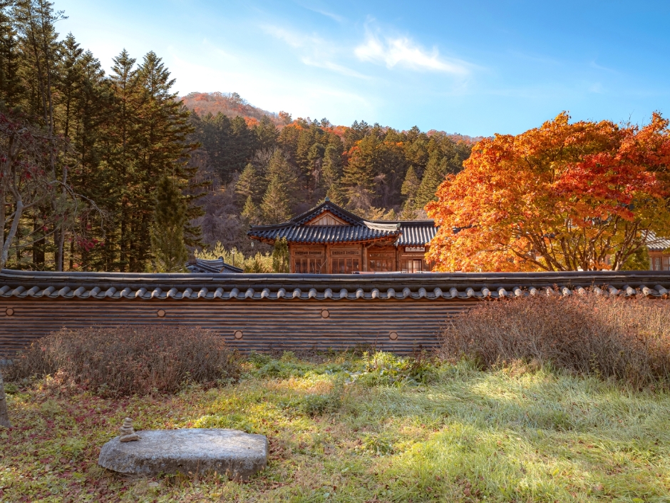 부산출발  2박3일  동해선 lTX 마음 기차여행, 리무진 버스투어
