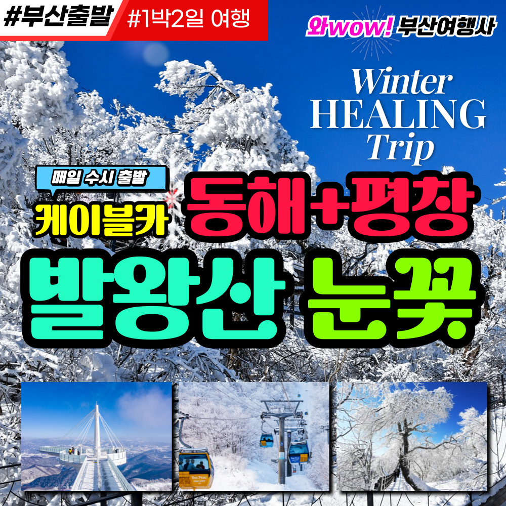 [부산출발] 동해+평창 발왕산 눈꽃케이블카(리무진운행)