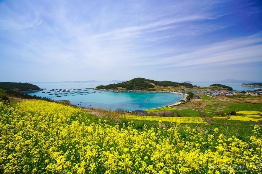 [부산출발]   청산도 완도항 봄 힐링 투어  1박2일여행