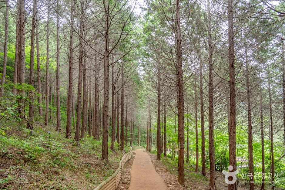 [부산출발] 남도여행 1박2일 순천/고흥/여수 1박2일여행