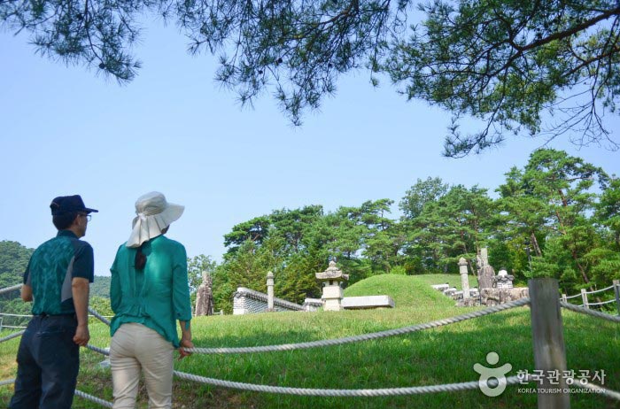 [부산출발] 왕과 사는 남자 핫 여행지 1박2일 안동/영월/정선