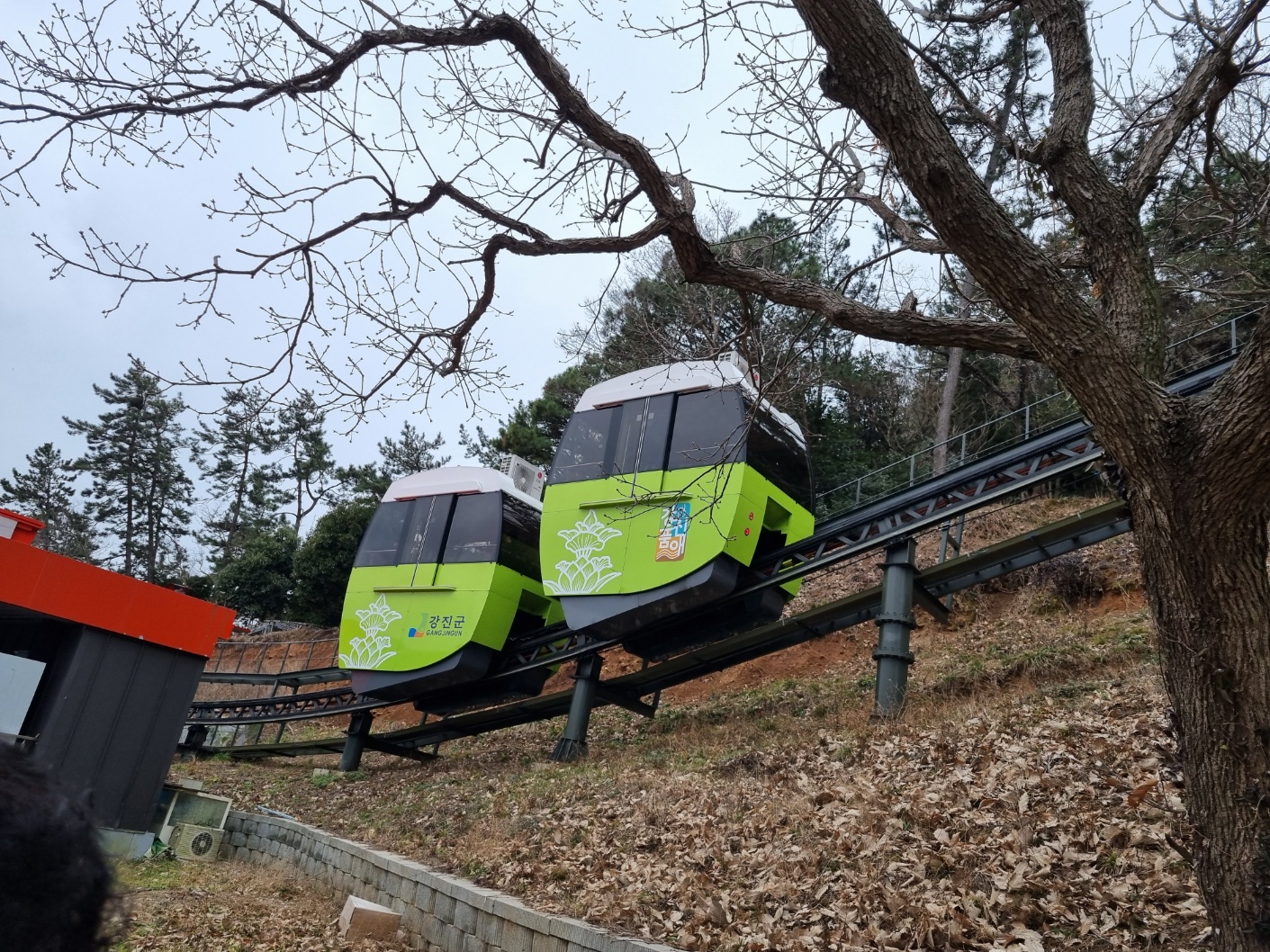[부산출발]  강진 남미륵사 서부해당화 철쭉 봄꽃 축제 당일여행