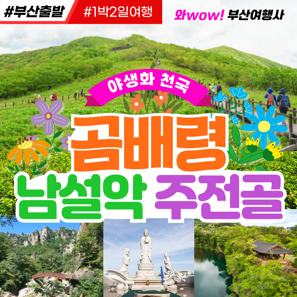 [부산출발] 야생화 천국 곰배령 + 남설악 주전골 1박2일